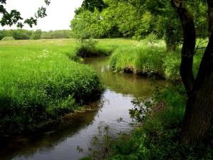 Prachtig landschap bij Camping/Recreatiepark de Groene Valk