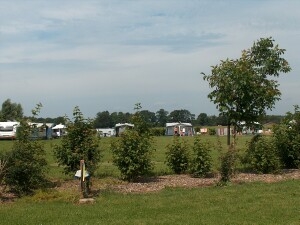 boerencamping De Boomgaard in Vorden, de Achterhoek, Gelderland