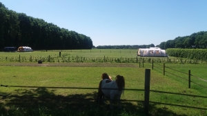 Mooi uitzicht op Minicamping 't Brenneke in Sambeek