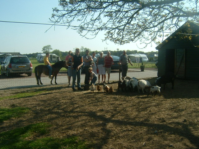 boerencamping Gervenseheide in Putten gelderland