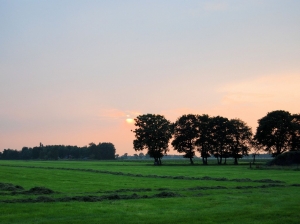 minicamping De Eshoeve in Een, Drente