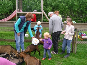 Boerencamping Drenthe - minicamping d'achterdiek