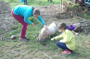 Leuke knuffeldieren op de camping in Frankrijk