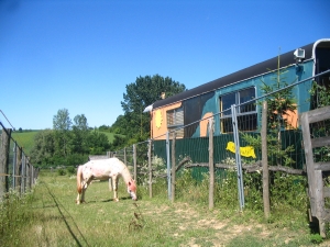 Te huur op De Schutskooi in Hongarije