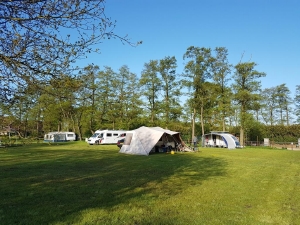 Ruime plaatsen op minicamping de Stieltjeshoeve in Drenthe