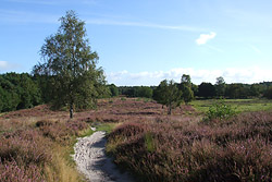 Boerencamping The Turnery in Afferden, provincie Limburg