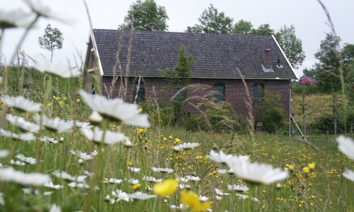Omgeving van Boerderijcamping aan de Dijk in Beuningen