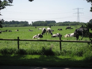 minicamping Agro in Lemele, boerencamping in Overijssel