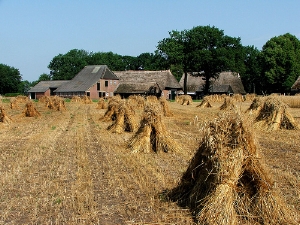 Boerderijcamping Drenthe