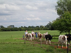 boerderijcamping Gelderland
