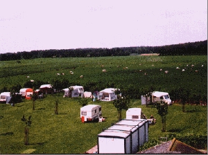 Boerencamping Pepinushof
