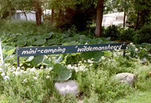 Minicamping Wilemansheerd in Schildwolde