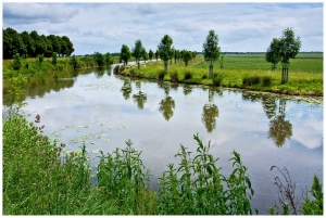 Boerencamping De Boscamp in Nieuwolda, mini camping in groningen