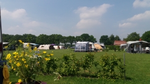 overzicht over de camping