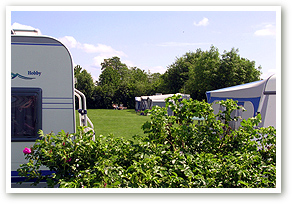 Boerencamping De Linderbeek in Overijssel