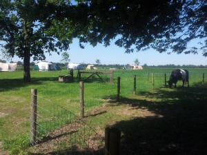 Minicamping Hoeve Carpe Diem in Heijen, boerderijcamping in Limburg