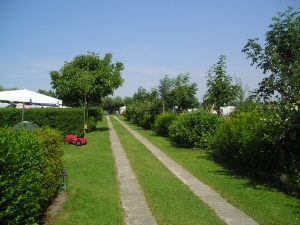 Minicamping De Catshoek in Nieuwvliet, Zeeuws-Vlaanderen, Zeeland