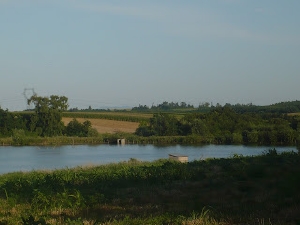 Natuur in Hongarije bij Boerencamping Ezelbrug