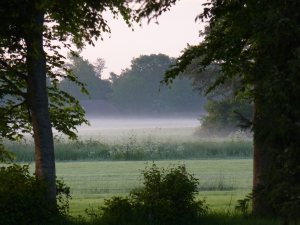 minicamping Paardelanden in Linde