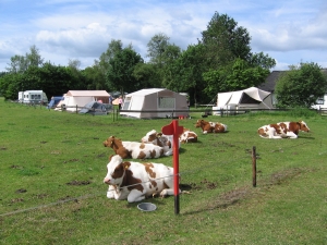 minicamping Hier is't in Drogteropslagen, Drenthe