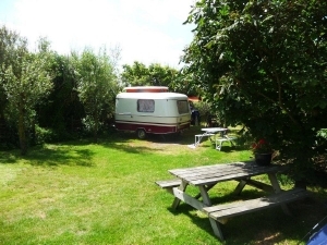 Minicamping De Karnemelkplaats in callantsoog