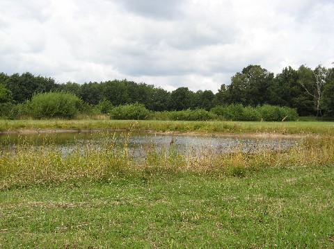minicamping De Kievit in Vaassen, Gelderland