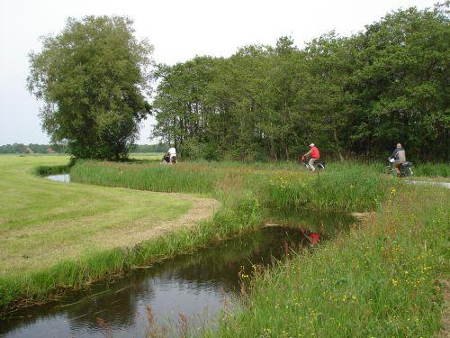 Omgeving van Boerencamping Singelhof in Gorredijk provincie Friesland