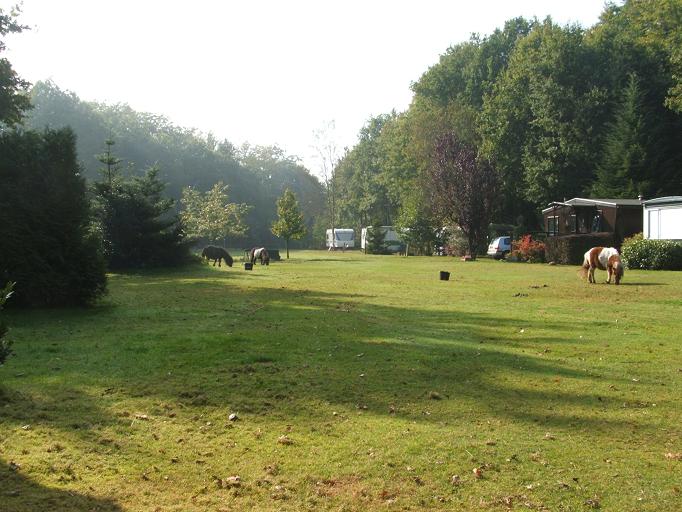 boerencamping Trimunt - minicamping Groningen