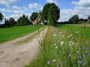 Boerderijcamping Ziegenhof in Niedersachsen