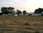 Boerencamping de Torenhoeve in Noord-Holland