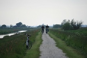 minicamping de veenhoop in de veenhoop