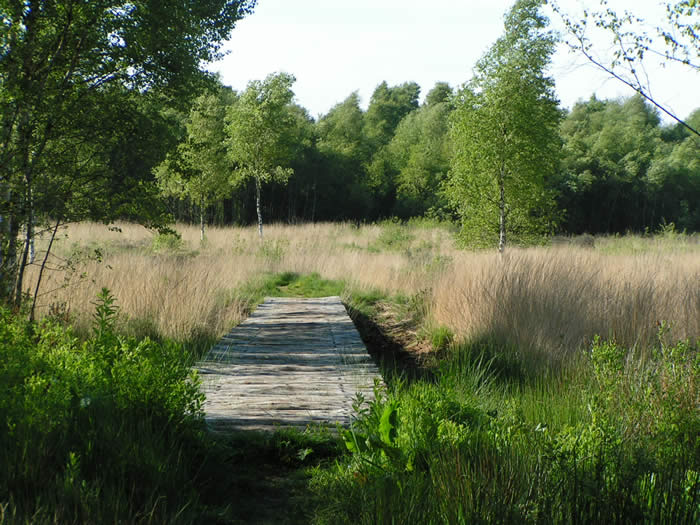 Boerencamping De Beekhoeve in Vriezenveen