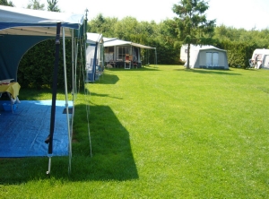 Minicamping Westenenk in Wijster