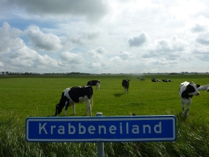 Boerdderijcamping Krabbeneiland op Biggekerke, Zeeland