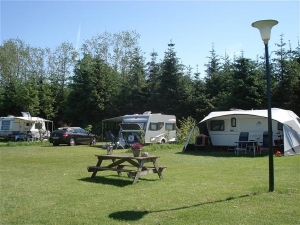 Minicamping De Dobbe in Kollemerzwaag, boerderijcamping in Friesland