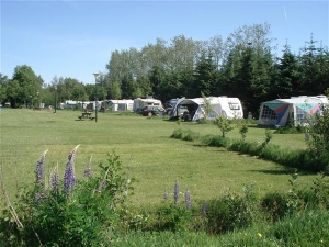 Boerderijcamping De Dobbe in Friesland