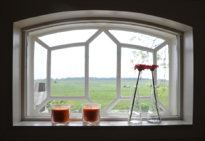 Uitzicht vanuit een vakantiehuisje Boerehiem Fryslan