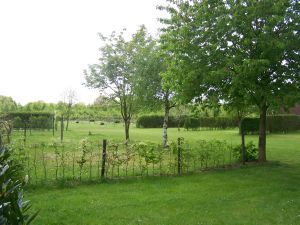 MINICAMPING mOLENBROEK IN sTRAMPROY vakantieboerderij in Limburg