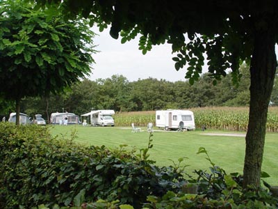 grote plaatsen op boerderijcamping De Bosrand in Ermelo