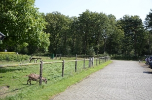 minicamping Gervenseheide in Putten