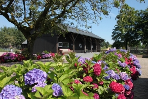 Geniet van een mooie kampeerhoeve in Wilp bij kleine camping Bussloo