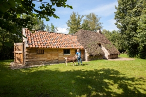 Boerderijcamping Drenthe, kleine camping d' Olde Kamp