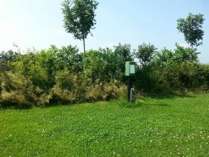 Minicamping de Veenborg in Kolham (Groningen)