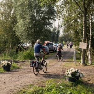 Heerlijk fietsen vanaf boerencamping Pieter's Farm in Scherpenzeel, Friesland