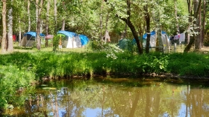 Minicamping Sologne Chambre d'Hotes, leuke plaatsen in het bos