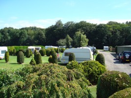 Minicamping Roos, Boerencamping in Oostvoorne Zuid Holland