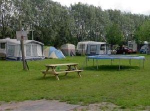 Minicamping Bergerhog in Sevenum, boerdencamping in de provincie Limburg