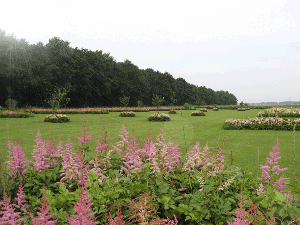 Boerderijcamping De Boergondiër in De Krim, Overijssel