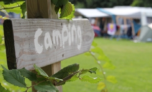 boerderijcamping Hoeve Nieuw Breda in De Cocksdorp, minicamping op Texel