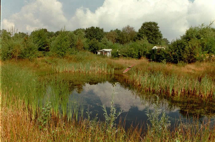 vijver bij boerencamping De Coolewee in Loo-Bathmen